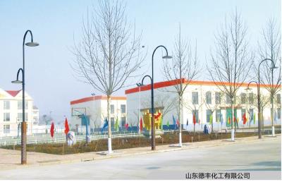 山东德丰化工有限公司